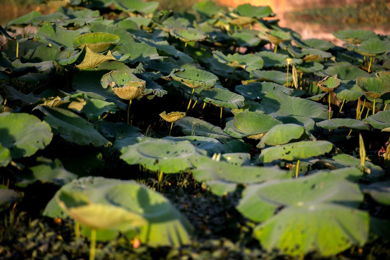 Daroth Angkor Boutique Hotel Siem Reap Luaran gambar