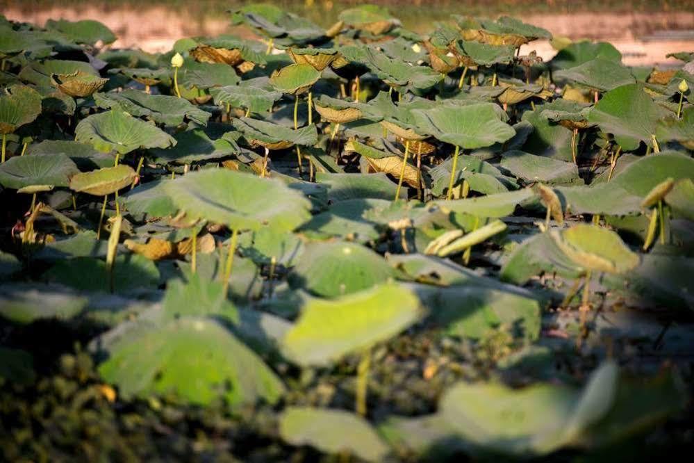 Daroth Angkor Boutique Hotel Siem Reap Luaran gambar